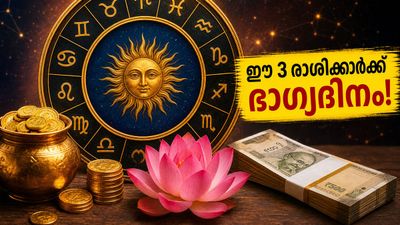 മെയ് 12: ഈ 3 രാശിക്കാർക്ക് തൊഴിലിൽ വൻ കുതിപ്പ്, ധനലാഭം; ഭാഗ്യം നിങ്ങളെ തേടിയെത്തും!