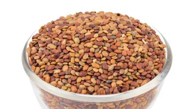 Kollu Benefits: அடிக்கடி கொள்ளு சாப்பிடுவதால் என்னென்ன நன்மைகள் கிடைக்கும் தெரியுமா? 