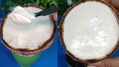 పాలు,పంచదార లేకుండానే..కొబ్బరి చిప్పలోనే ఐస్ క్రీమ్.. టేస్ట్ చూస్తే ఫిదా అవ్వాల్సిందే!