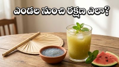 ఉత్తర భారత్‌లో మండుతున్న ఎండలు.. వడదెబ్బ నుంచి ప్రాణాలు కాపాడుకోవాలంటే ఈ చిట్కాలు తప్పనిసరి!