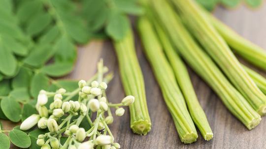 Weight Loss Benefits of Moringa