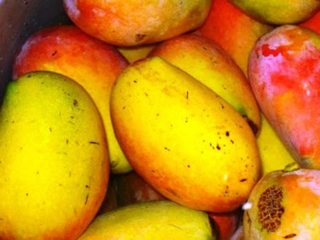 গোলাপখাস