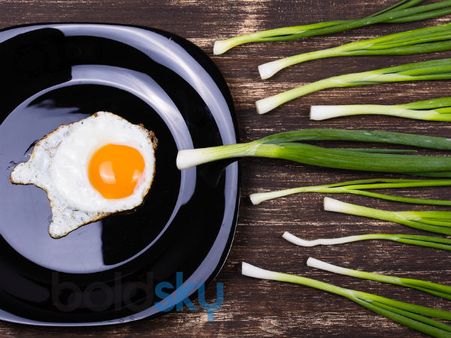 ডিম্বস্ফোটনের গণনা