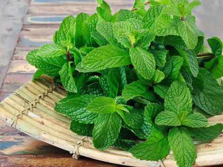 ৫. মিন্ট পাতা: