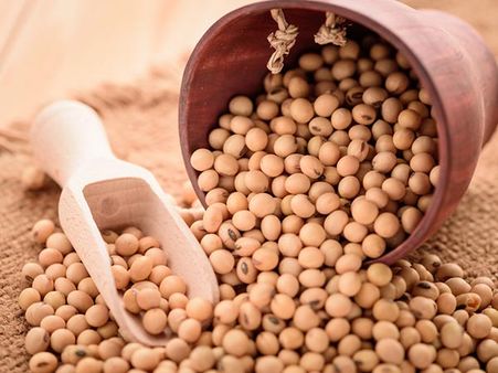 ৭. সোয়াবিন: