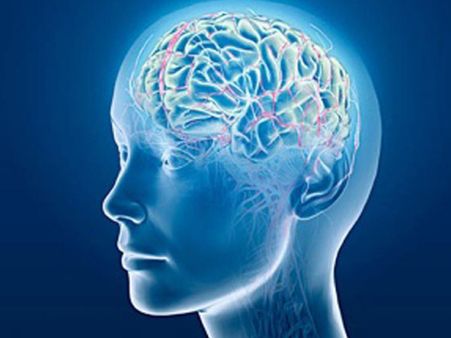 ৩. মস্তিষ্কের ক্ষমতা বৃদ্ধি পায়: