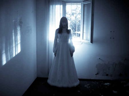 ১১. কুকরেরা বুঝে যায়: 