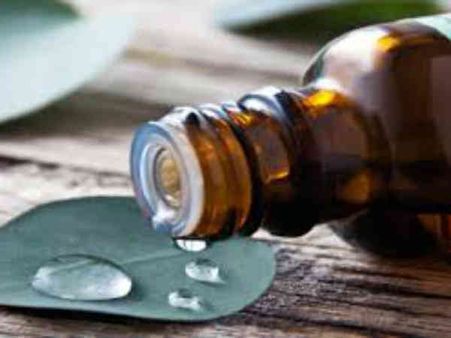 ৮. টি ট্রি অয়েল: