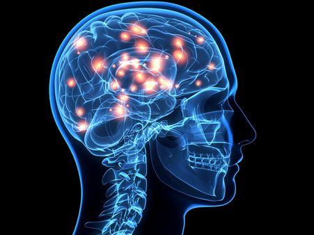 মস্তিষ্কের কর্মক্ষমতা বৃদ্ধি করে: