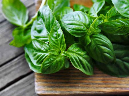 ৩. তুলসি পাতা: