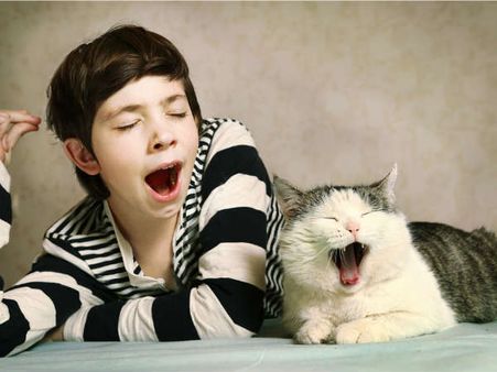 হাই কিন্তু বেজায় ছোঁয়াছে: 