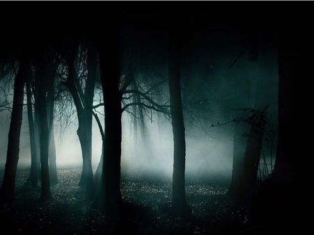 ৭. ডাউ দিল, কার্শিয়াং, দার্জিলিং: