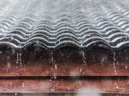 ৩. অমব্রোফবিয়া: