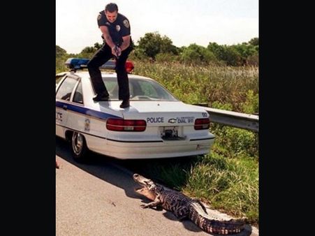 ৭. হ্যান্ডস আপ!