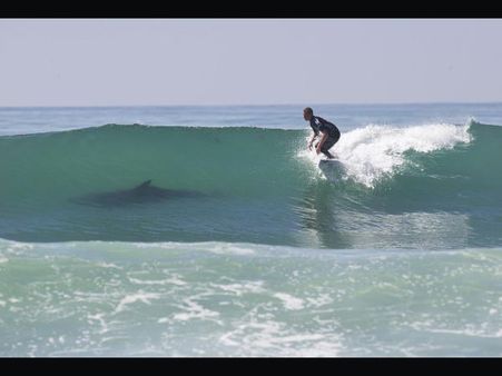 ১২. মরতে মরতে বেঁচে গিয়েছিল সে: