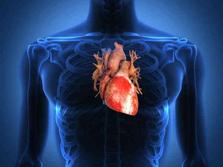 ৩. প্রদাহ কমায়: