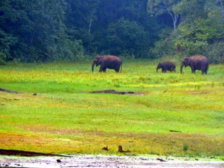 ১৯৮০ সালের ঘটনা: