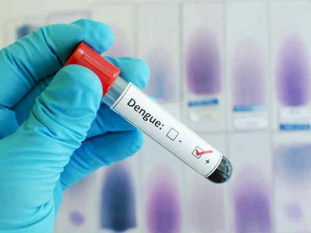 ৫. ডেঙ্গু: