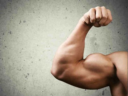 ৫. পেশির গঠনে উন্নতি ঘটে: