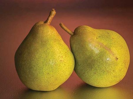 ৩. নাশপাতি: