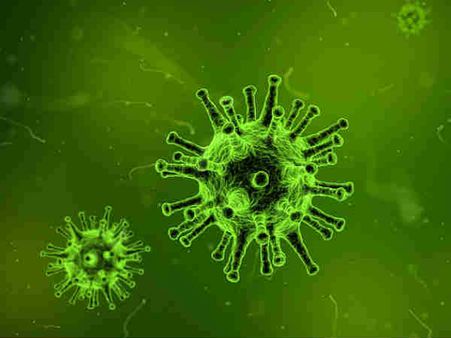 কী এই এইচ১ এন ১ ভাইরাস?