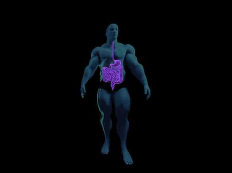 ৬. হজম ক্ষমতার উন্নতি ঘটায়: