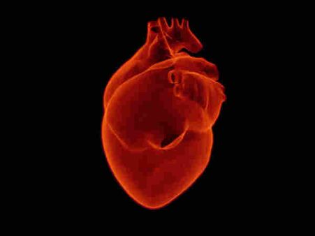 ১. হার্ট অ্যাটাককে রোধ করে: