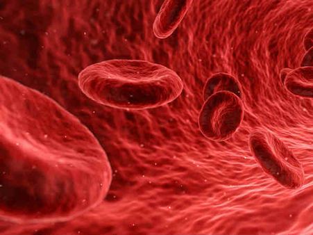 ৫. রক্তে শর্করার মাত্রা নিয়ন্ত্রণে থাকে: