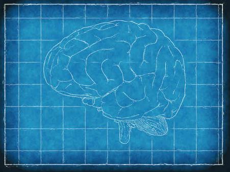 ৩. ব্রেন ফাংশনে উন্নতি ঘটে: