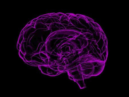 ৭. ব্রেন পাওয়ার বৃদ্ধি পায়: