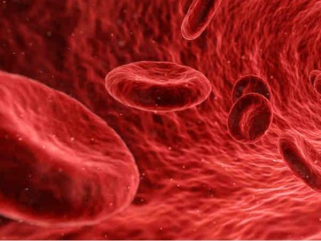 রক্তাল্পতা দূর করে: