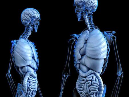 হজমের সমস্যা দূর করে: