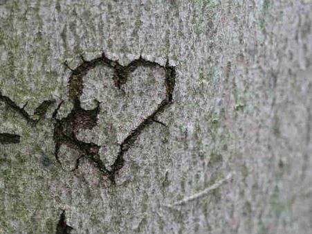 ৩. হৃদরোগের সম্ভাবনা কমে: