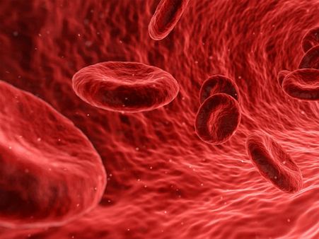 রক্তাল্পতা সারাতে সাহায্য করে: