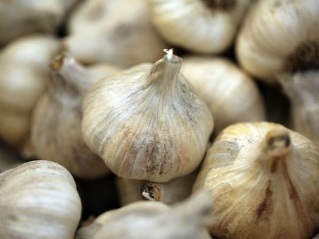 ১. রসুন:
