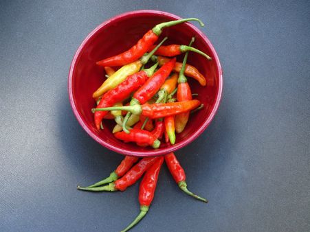 ৫.লাল লঙ্কার গুঁড়ো: