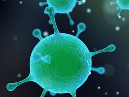 ৩. জীবাণু এবং ছত্রাক নাশক: