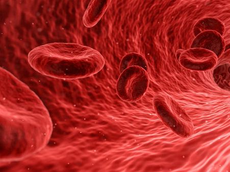 ১. রক্ত পরিশুদ্ধ হয়: