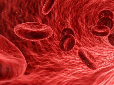 ৩. শরীরকে বিষমুক্ত করে: