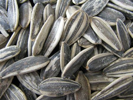 কিভাবে খেতে হবে এই বীজ?