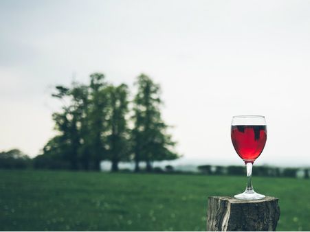 ৬. পলিফেনল সমৃদ্ধ খাবার বেশি করে খেতে হবে: