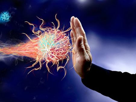 ২. রোগ প্রতিরোধ ক্ষমতা বাড়ে: