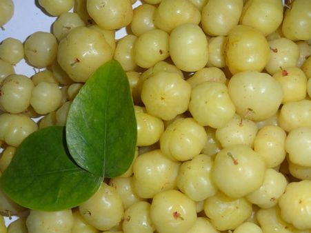 ৩. আমলকি: