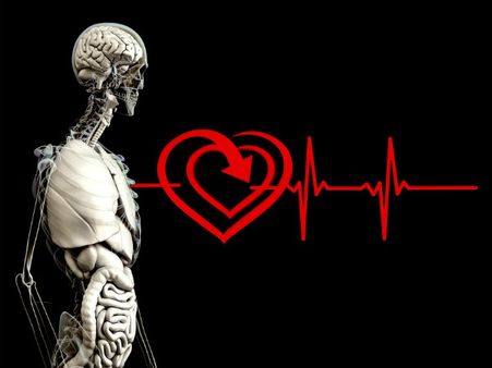 ২. হার্টের কর্মক্ষমতা বৃদ্ধি পায়: