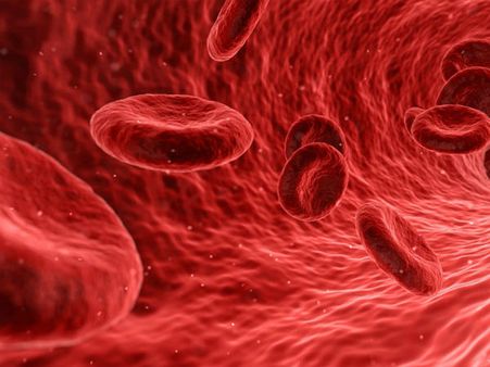 ৩. অ্যানিমিয়ার প্রকোপ কমায়: