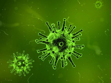 ২. ব্যাকটেরিয়ারা মারা পরে: