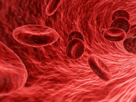 ১. শরীর থেকে সব বিষ বেরিয়ে যায়: