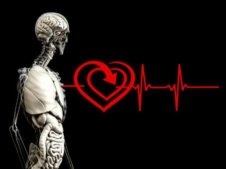 ৬. হার্টের কর্মক্ষমতা বৃদ্ধি পায়: