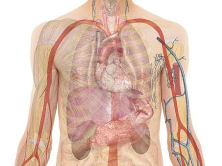 ৫. দেহে পুষ্টির ঘাটতি দূর হবে: