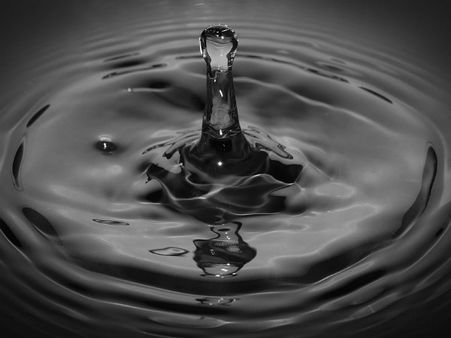 ৫. উৎসেচকের কাজ বৃদ্ধি করে: